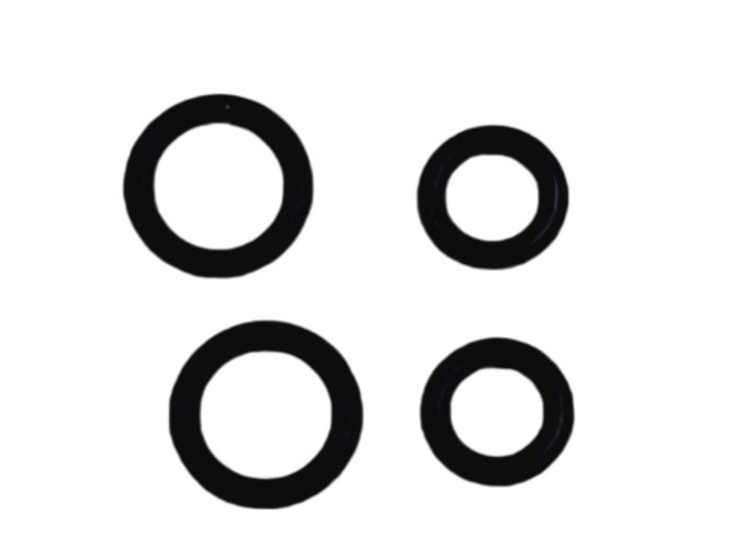 Sada těsnících O kroužků pro vysavač Eta Neptun