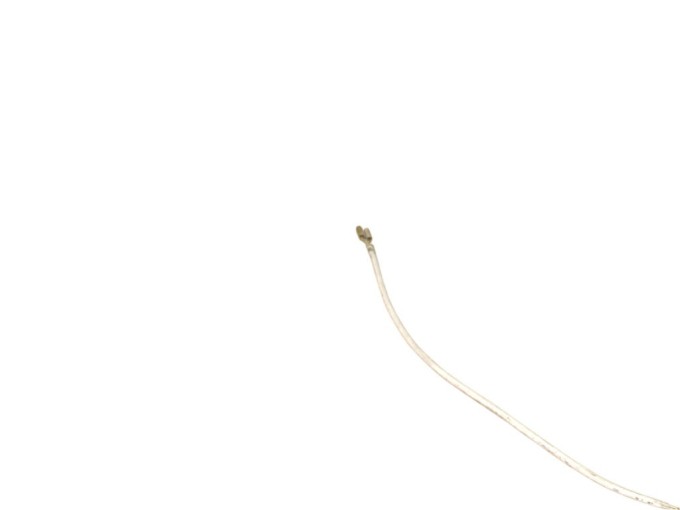 Vodič ETA 0179 01570 - Náhradní díl pro kávovary