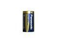 Baterie D LR20 Panasonic EveryDay Power Alkaline 1,5V - balení 2 ks
